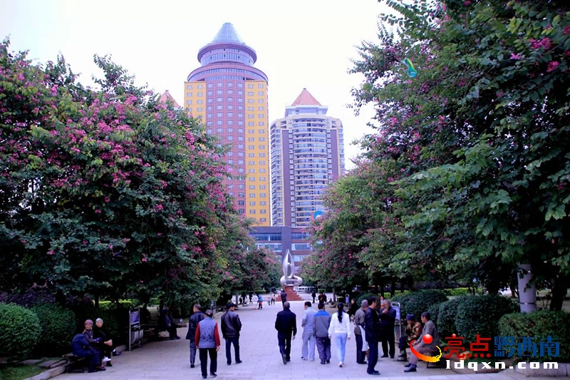 坪東廣場(chǎng)的紫荊花（一）_6.jpg