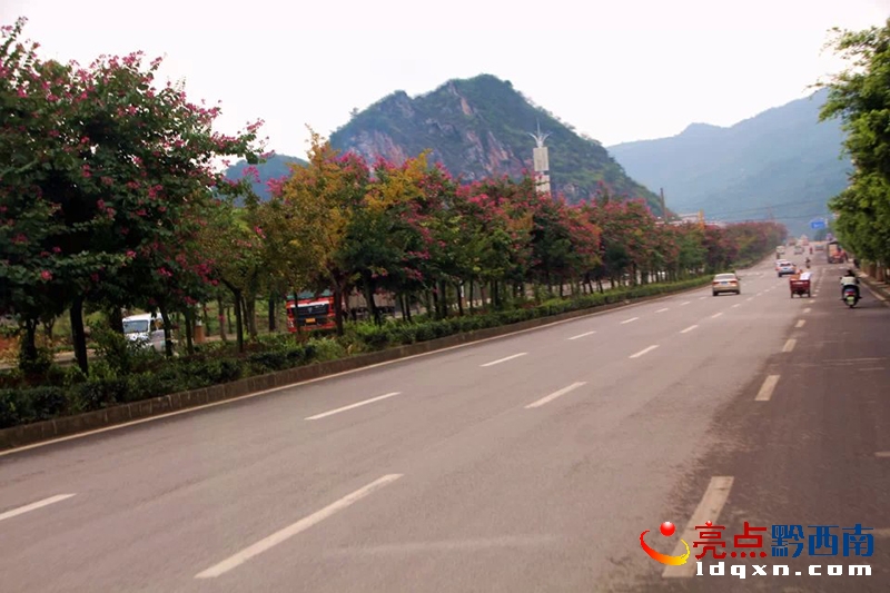 東霸—木賈行道中的紫荊花開一路紅_4.jpg