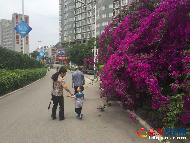 QQ圖片20150514181215.jpg