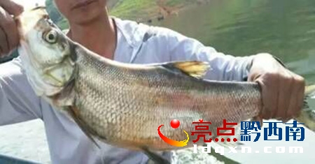 QQ圖片20150714174346.jpg