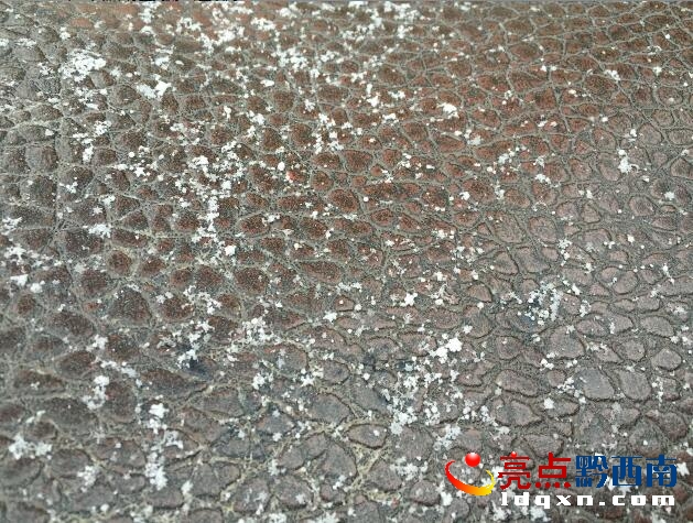 QQ截圖20160125102935.jpg