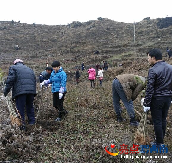 QQ截圖20160228142036.jpg