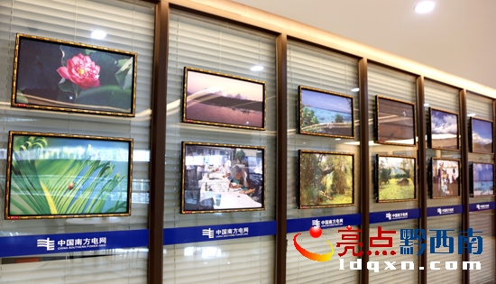 興義供電局舉辦“員工關(guān)愛(ài)月”職工攝影書(shū)畫(huà)展() (4).JPG