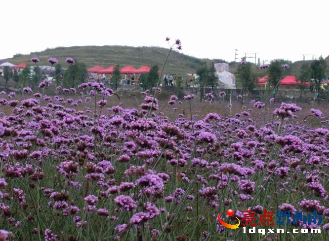 QQ截圖20161006150002.jpg