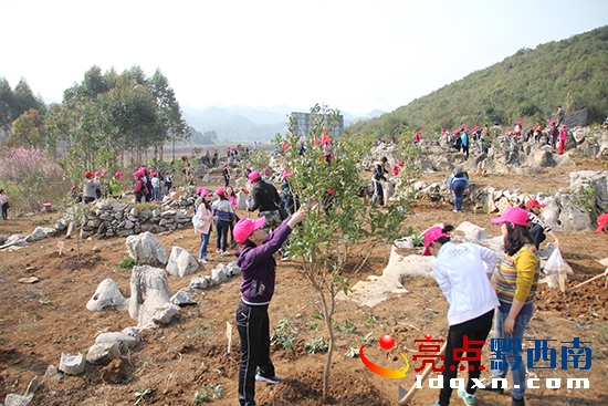 女干部職工植樹場景(二)—溫紹杰 攝.jpg