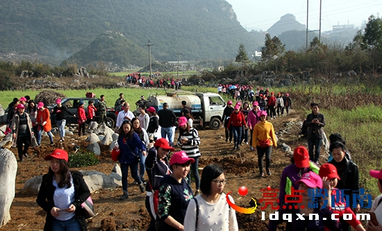 女干部職工進入植樹現(xiàn)場—溫紹杰 攝.jpg