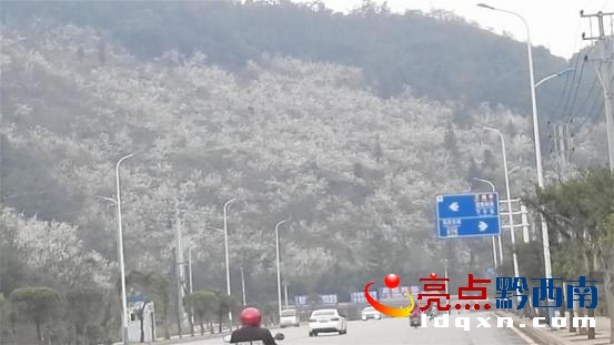 圖片5.jpg