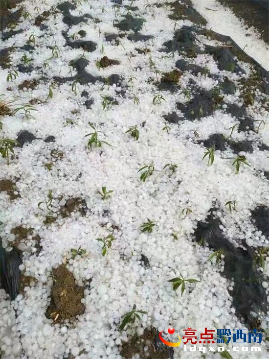 未設(shè)炮站的義龍?jiān)囼?yàn)區(qū)頂效.jpg