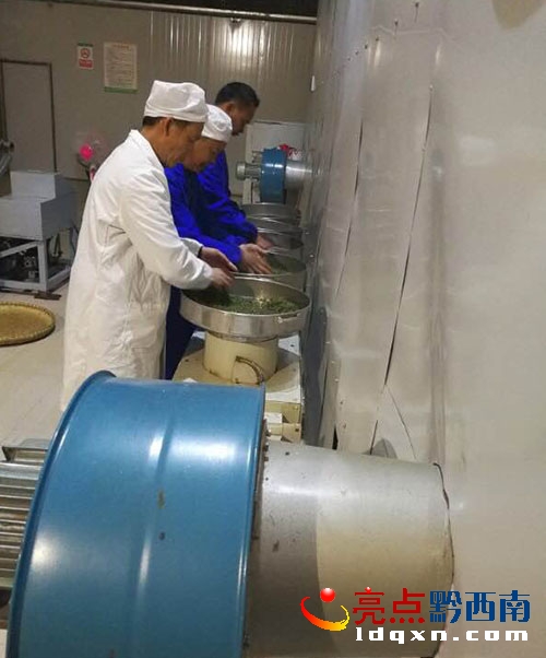 圖為炒茶師傅正在炒茶.0.jpg