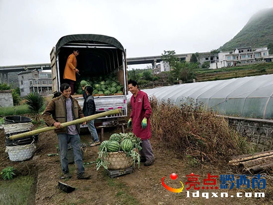 瓜農(nóng)在裝運(yùn)西瓜.jpg