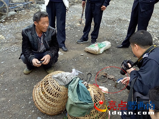 森林公安現森林公安現場查獲野生雉雞和狩獵工具.jpg