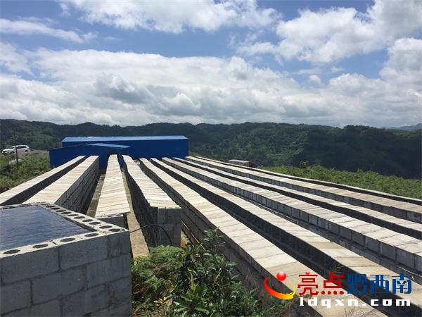 野兔養(yǎng)殖基地一角3.JPG