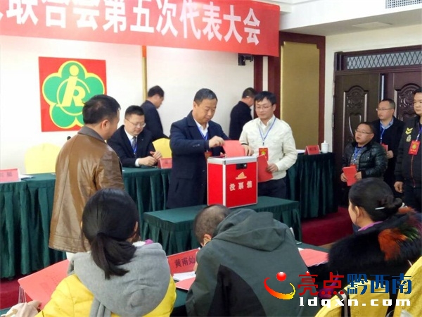 代表投票.jpg