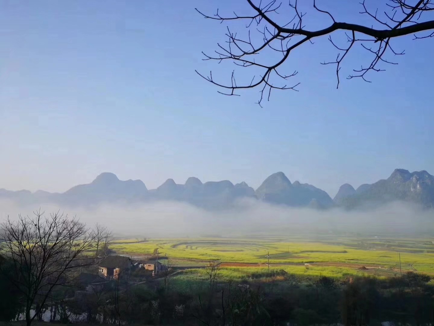 微信圖片_20180221093135.jpg