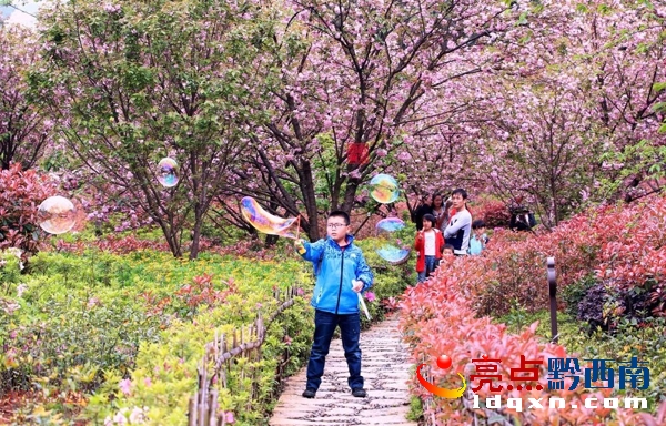 微信圖片_20180409081403.jpg