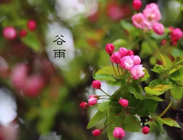 微信圖片_20180420082113.jpg