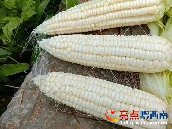 微信圖片_20180609102554.jpg